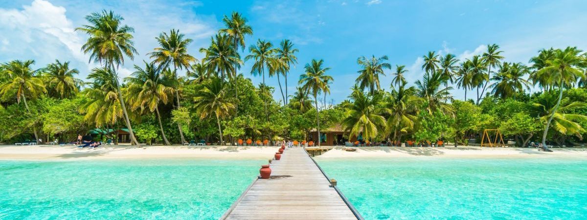 jungle travel maldivi 2023